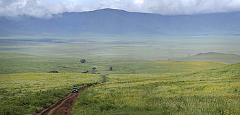 Tanzania, Ngorongoro Crater Highlands HD wallpaper