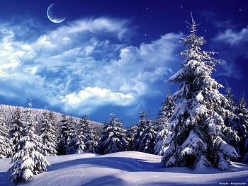 Winter Time, Winter, Pine, Mountains, Moon HD wallpaper