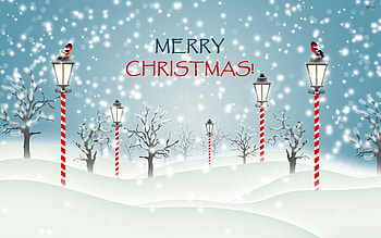 Christmas In the Snowy Park, The, Christmas, Park, Snowy, In HD wallpaper
