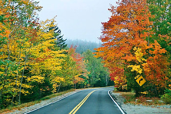 Autumn Road, autumn, road, beautiful HD wallpaper