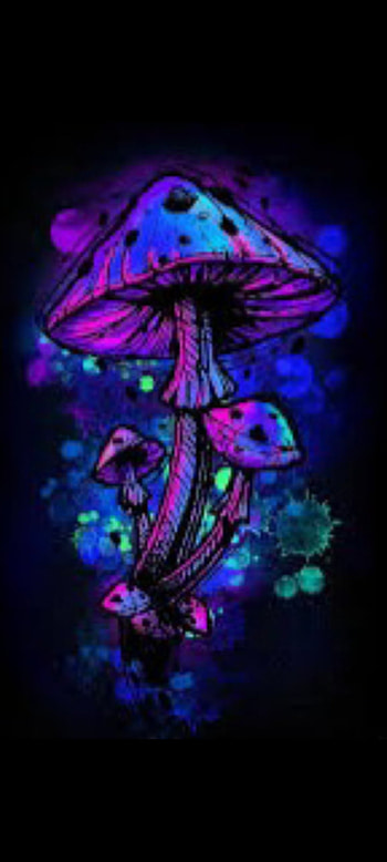 Pic123, shrooms, mushroom HD phone wallpaper