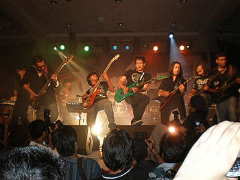 live wf, music, wf, live, live concert, band HD wallpaper