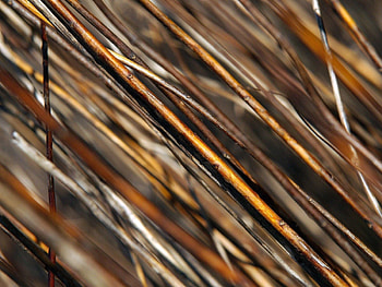 Macro, Wood, Wooden, Brown, Grey, Bars, Rods HD wallpaper
