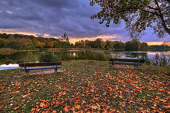 Lake, benches, trees, autumn HD wallpaper