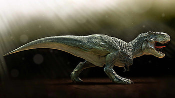 dinosaur , Stunning visuals, Mesozoic creatures, background HD wallpaper