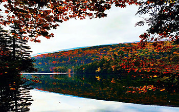 Fall colors in Vermont, Emerald Lake State Park, usa, leaves, fall, landscape, trees, colors, forest HD wallpaper