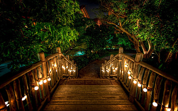 Landscape, Bridges, Trees HD wallpaper