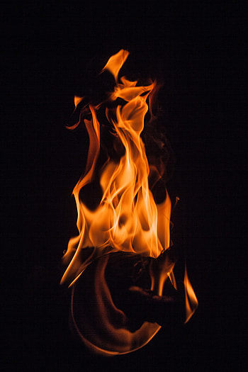 Fire, Bonfire, Dark, Flame, Darkness, Firewood, Shroud HD phone wallpaper