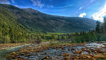 Twin Lakes, Colorado, landscape, trees, sky, mountains, usa HD wallpaper