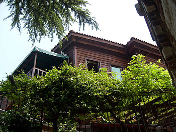 Nesebar, BULGARIA, graphy, green, house, bulgaria, trees, nature HD wallpaper