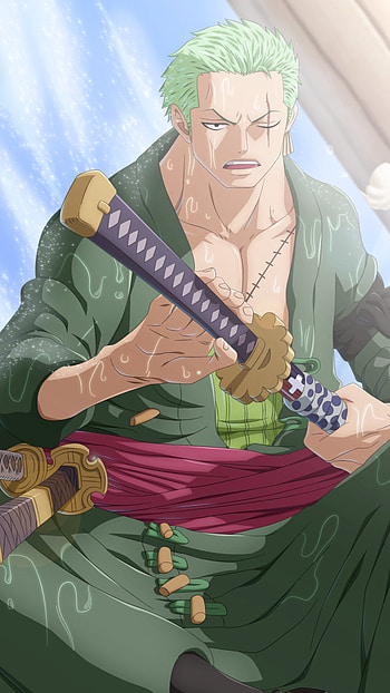 Roronoa Zoro, Anime, One Piece HD phone wallpaper
