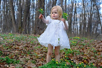Flowers From An Angel, angel, girl, flowers, forest HD wallpaper