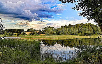 Lake Kala in Latvia, reflection, trees, Latvia, grass, calm, lake HD wallpaper