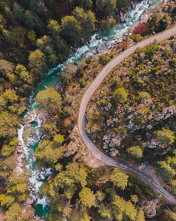 Road, Nature, Rivers, Trees, View From Above HD phone wallpaper