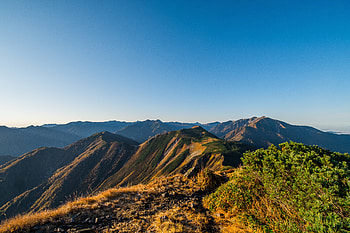 Nature, Mountains, Bush, Rocks, Relief HD wallpaper