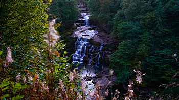 Corra Linn waterfall, Scotland, trees, cascades, forest, rocks, river HD wallpaper