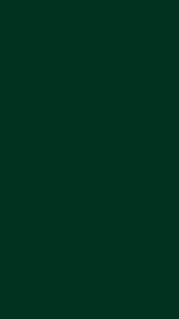Dark Green Solid Color Background for Mobile HD phone wallpaper
