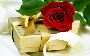 Rose and Gift, rose, graphy, gift, flower HD wallpaper