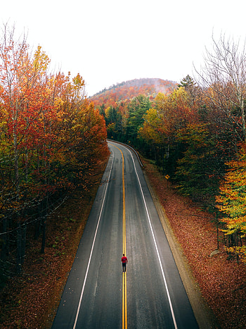 Nature, Trees, Autumn, Road, Markup, Jogging, Jog HD phone wallpaper