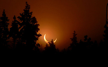 Eclipse Sunset, eclipse, moon, grapghy, sky, forest, sunset HD wallpaper