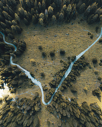 Nature, Trees, View From Above, Top, Road, Tops, Sinuous, Winding HD phone wallpaper