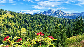 Tatoosh range, Washington, clouds, landscape, trees, berries, sky, mountains, lake, usa, reflections HD wallpaper