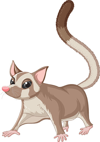 Cute sugar glider, Cartoon character, Playful nature, Delightful artwork HD phone wallpaper
