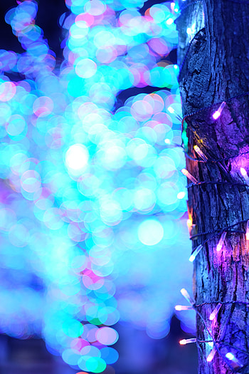 Lights, Miscellanea, Miscellaneous, Wood, Tree, Blur, Smooth, Garland, Bokeh, Boquet HD phone wallpaper