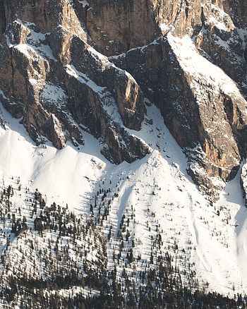 Nature, Trees, Snow, Mountain, Slope HD phone wallpaper