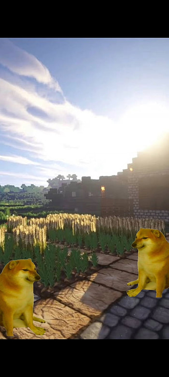 Minecraft Doges, cloud, Doge HD phone wallpaper
