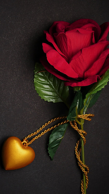 Red Rose with Heart, red flower, red rose, artistic, love HD phone wallpaper