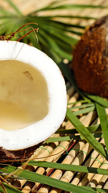 Coconut, , Mobile beauty, delight HD phone wallpaper