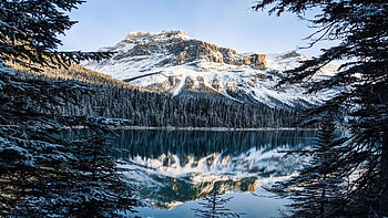 Emerald Lake, British Columbia, trees, sky, yoho np, water, canada, reflections HD wallpaper