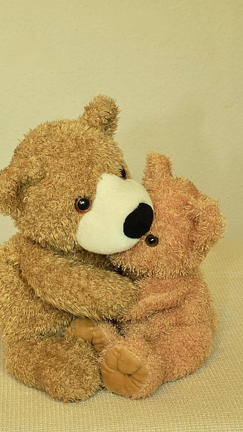 Teddy Bear Live, Hug Toy HD phone wallpaper