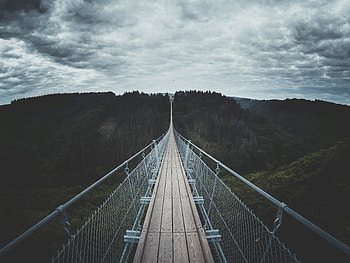 Nature, Trees, Sky, Clouds, Forest, Bridge, Suspension, Hanging, Germany HD wallpaper