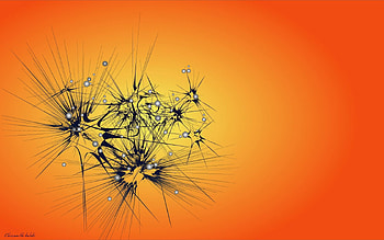 Abstract, Lines, Form HD wallpaper