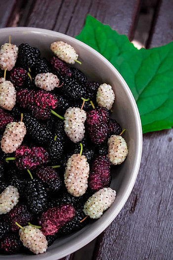 Mulberry health benefits, Nutritional powerhouse, Nature's superfood, Boosts well-being HD phone wallpaper