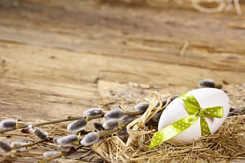 Easter Time, egg, easter, willow twig, wood HD wallpaper