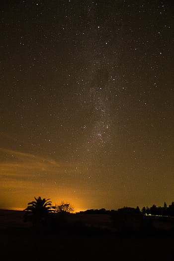 Nature, Stars, Night, Starry Sky, Palm, Outlines HD phone wallpaper