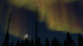 Namalsk, video game, DayZ HD wallpaper