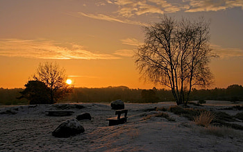 Nature, Sunset, Sun, Birches, Horizon, Park, Benches HD wallpaper