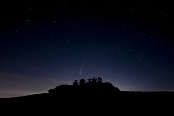 Trees, Stars, Night, Dark, Silhouette, Starry Sky HD wallpaper