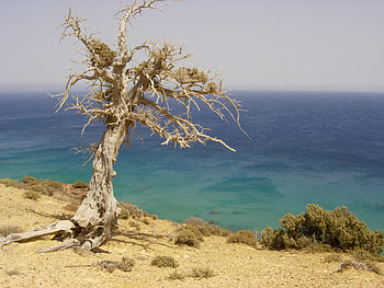summer in gavdos island, summer, minimal, ocean, light HD wallpaper