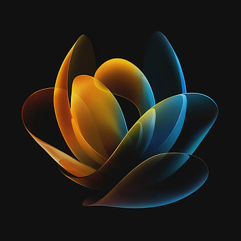 Honor Magic, art, petal HD phone wallpaper