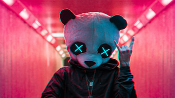 Rockstar, Pandas HD wallpaper
