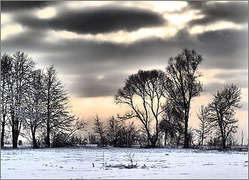 Winter, Nature, Trees, Clouds, Snow HD wallpaper