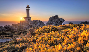 lighthouse in Galicia - Spain, spain, flowers, lighthouse, coast HD wallpaper