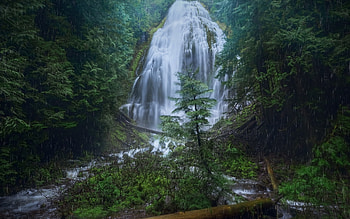 Fairy Falls, rocks, waterfall, Columbia River Gorge, Wahkeena Creek, beautiful waterfall, USA HD wallpaper