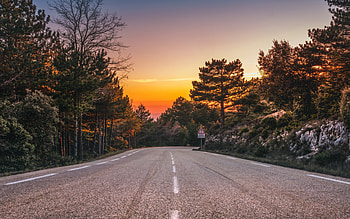 mountain road, evening, sunset, trees, USA, asphalt road, path concepts, travel concepts HD wallpaper