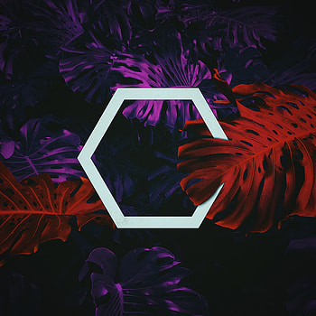 Leaves, Miscellanea, Miscellaneous, Figure, Hexagon, Geometry, Hexahedron HD phone wallpaper